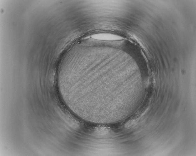 X0000088160451200706051055