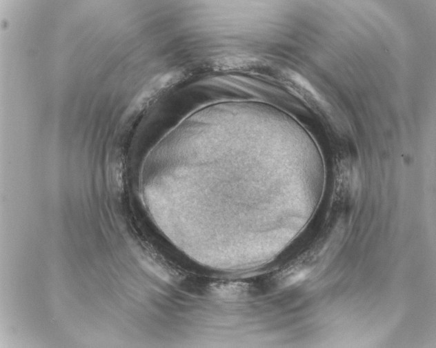 X0000088160452200706051055