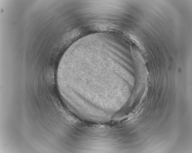 X0000088160453200706051055