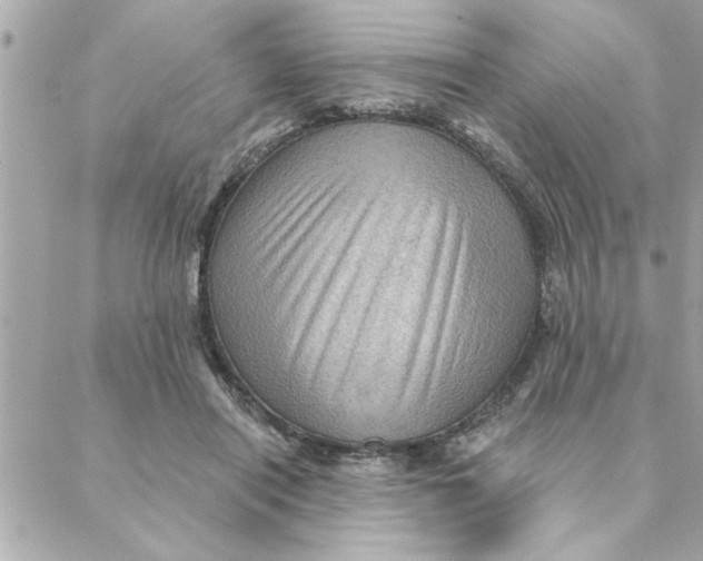 X0000088160454200706051055