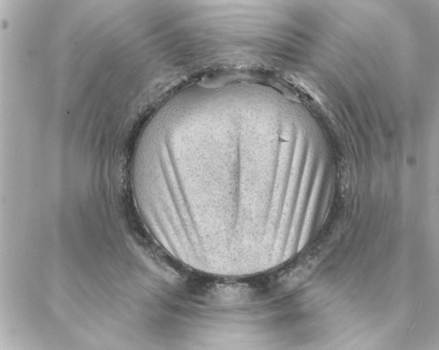 X0000088160455200706051055