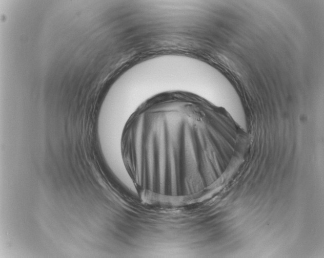 X0000088160456200706051055