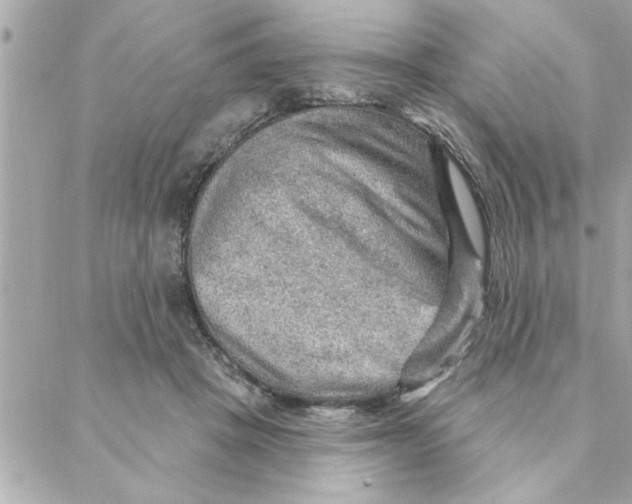 X0000088160457200706051055