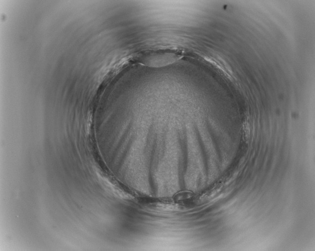 X0000088160458200706051055