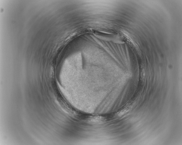 X0000088160459200706051055