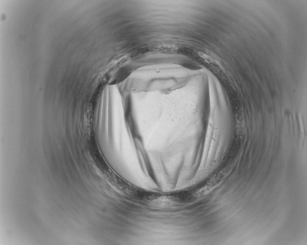 X0000088160460200706051056