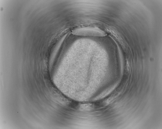 X0000088160461200706051056