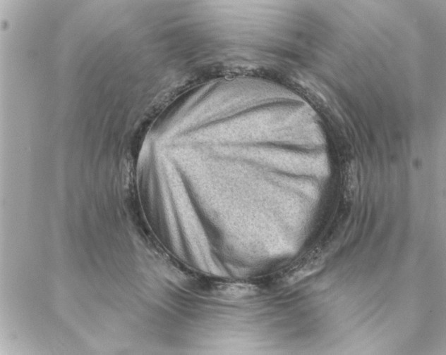 X0000088160463200706051056