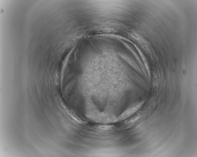 X0000088160465200706051056