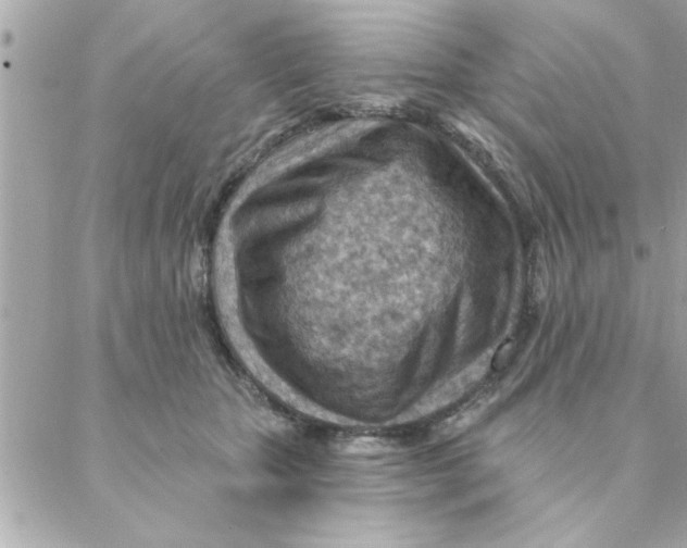 X0000088160467200706051056