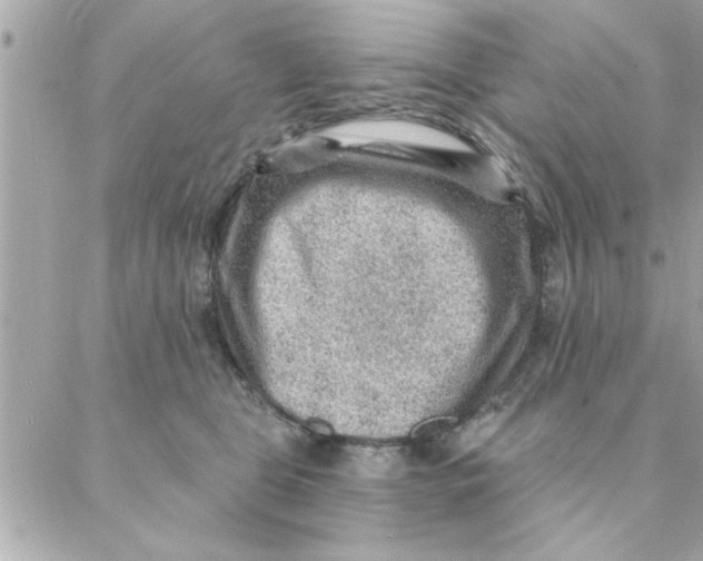 X0000088160469200706051056