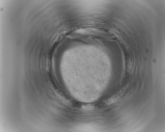 X0000088160470200706051056