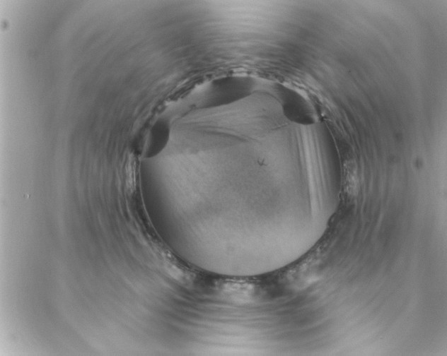 X0000088160471200706051056