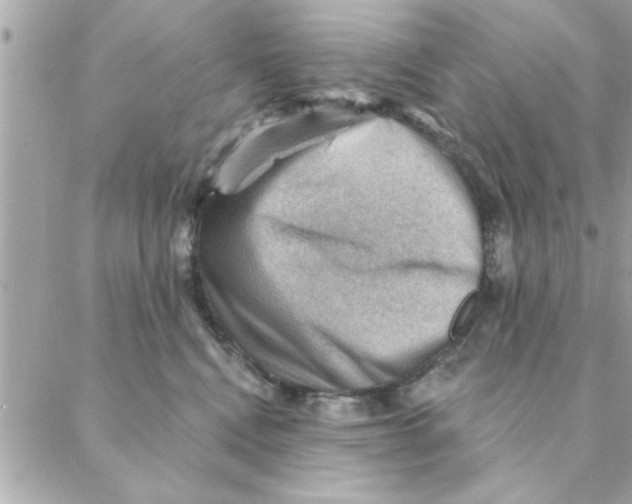 X0000088160472200706051056