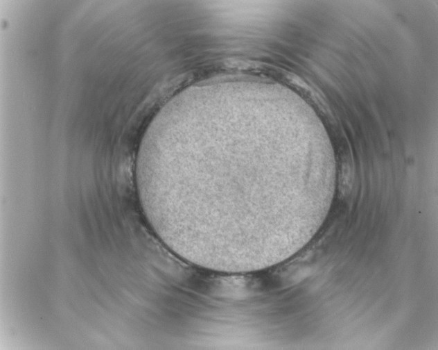 X0000088160473200706051056