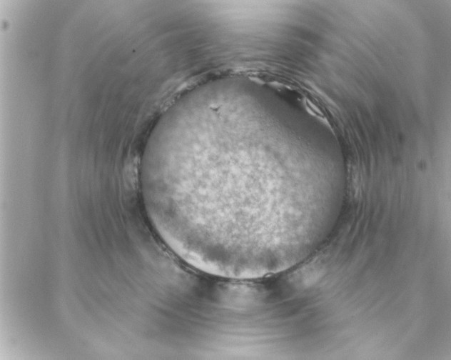 X0000088160475200706051056