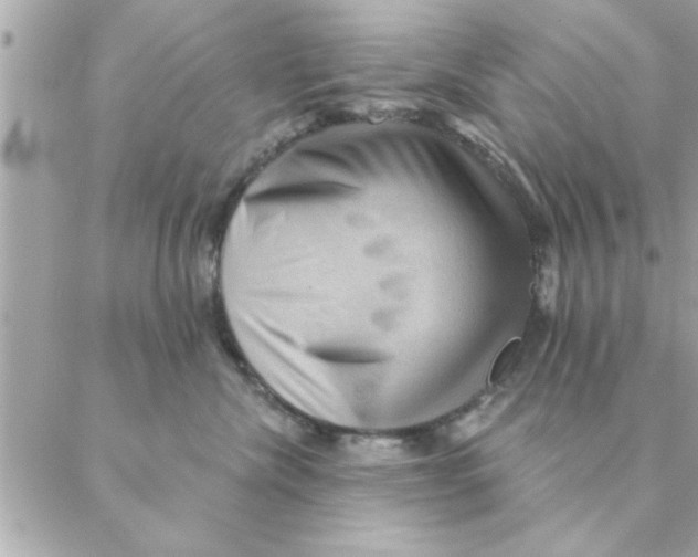 X0000088160476200706051056