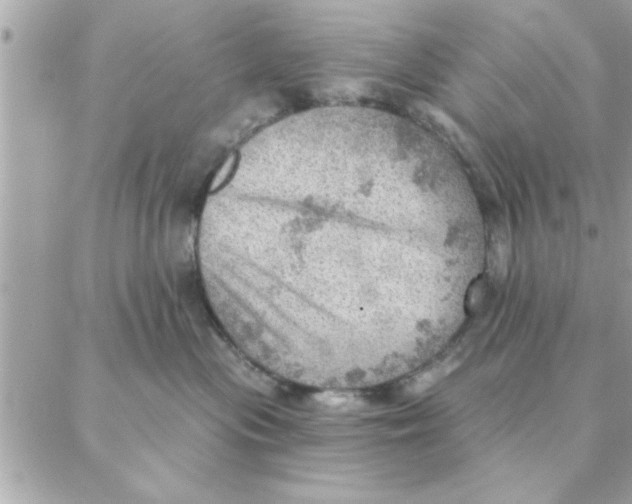 X0000088160477200706051056