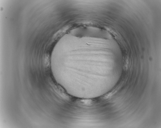 X0000088160478200706051056