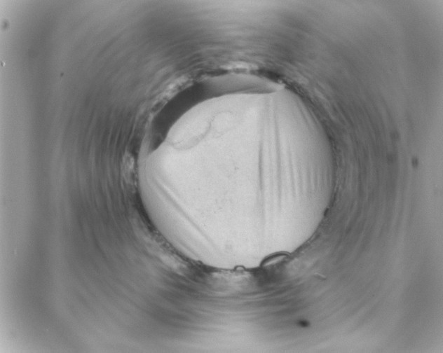 X0000088160480200706051056