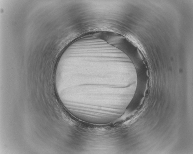 X0000088160481200706051055