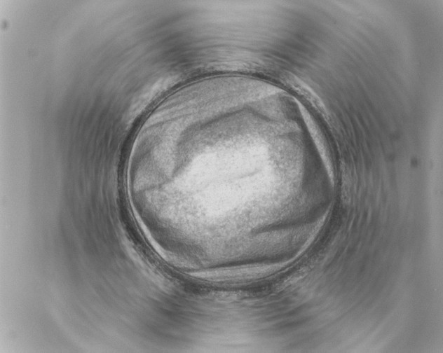 X0000088160482200706051055