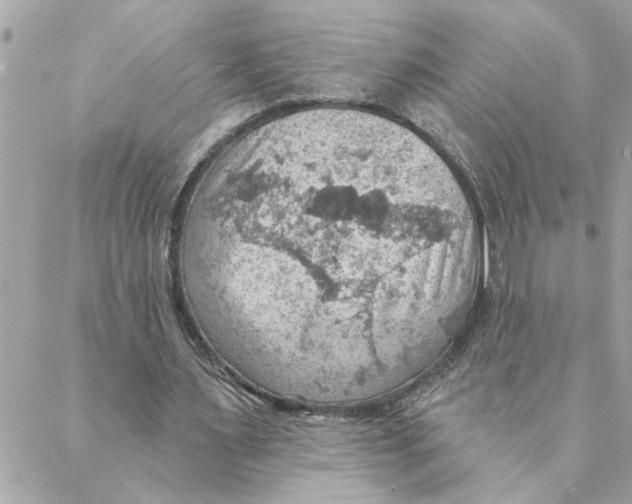 X0000088160483200706051055