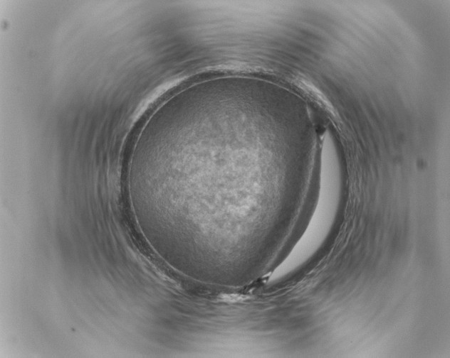 X0000088160484200706051055