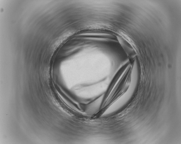 X0000088160485200706051055