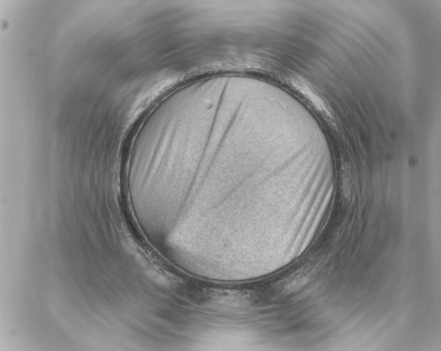 X0000088160486200706051055