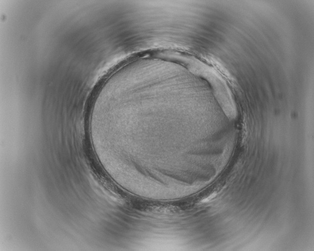 X0000088160488200706051055