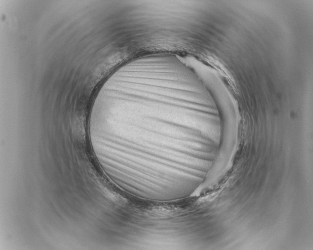 X0000088160489200706051055