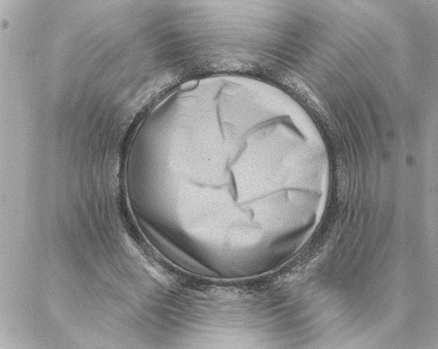 X0000088160490200706051055