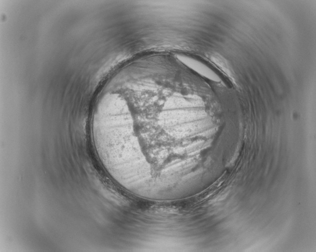 X0000088160491200706051055