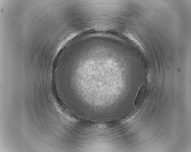 X0000088160492200706051055