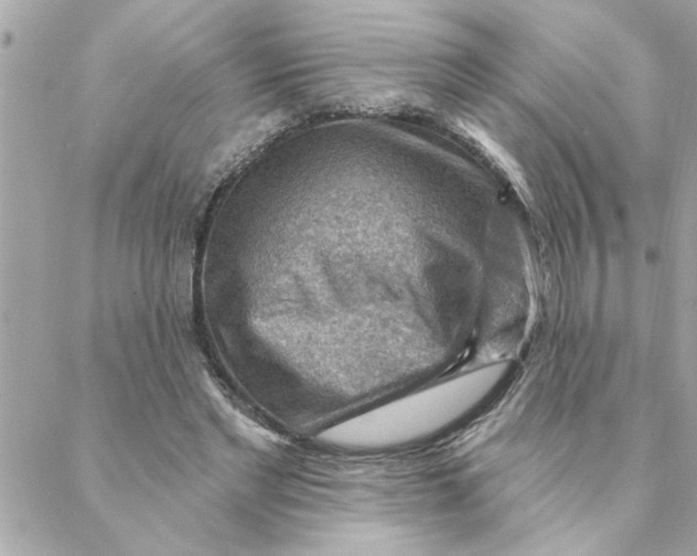 X0000088160493200706051055