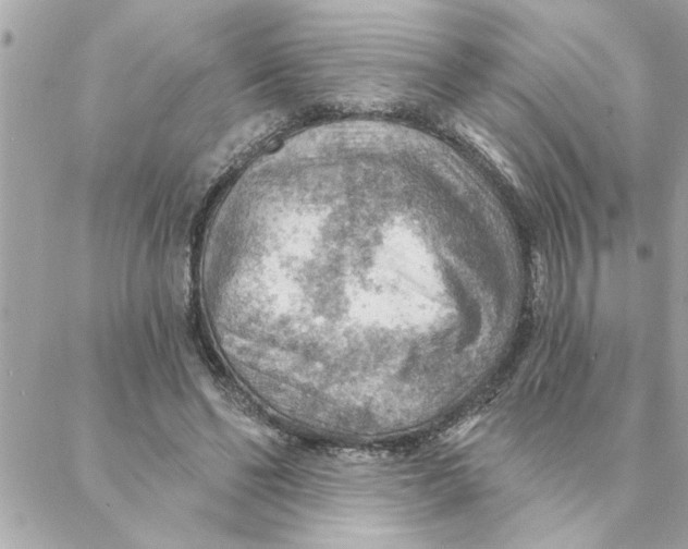 X0000088160494200706051055