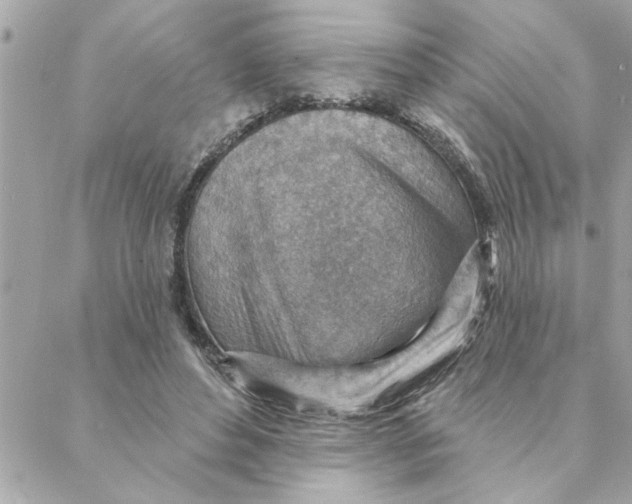 X0000088160496200706051055