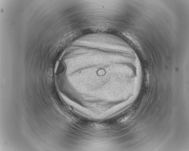 X0000088160498200706051055