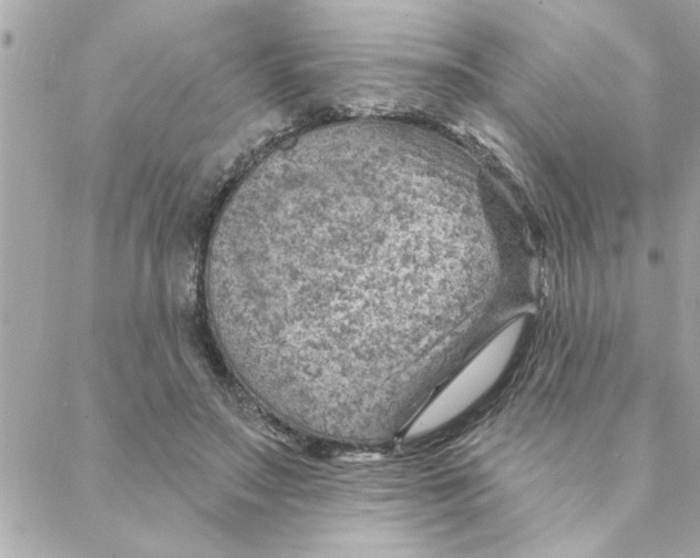 X0000088160499200706051055