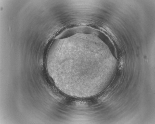 X0000088160500200706051055