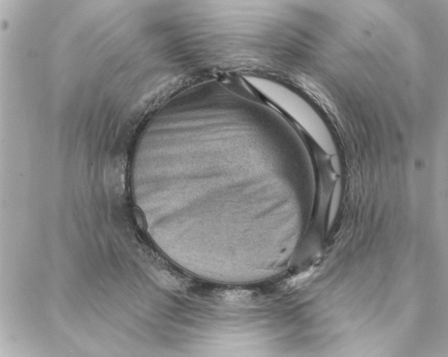 X0000088160501200706051055