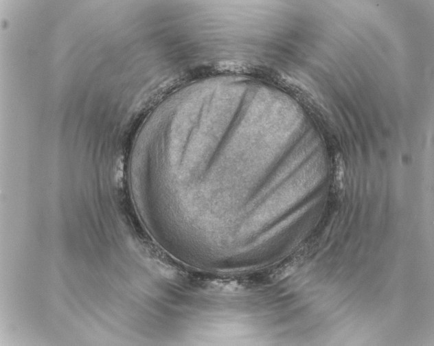 X0000088160502200706051055