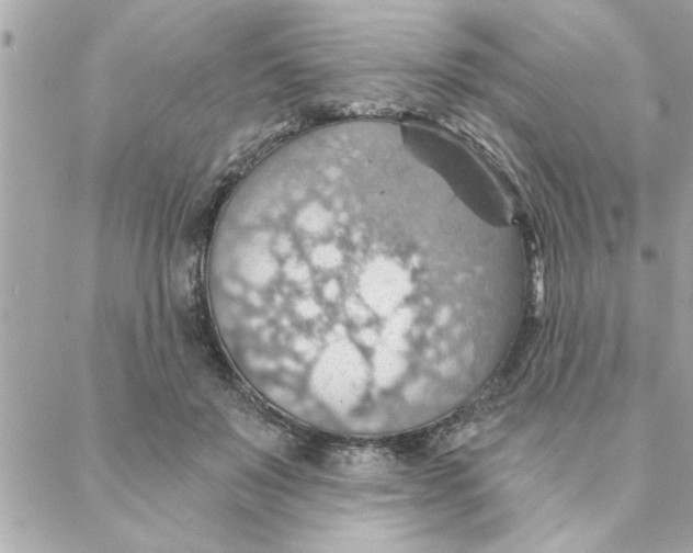 X0000088160503200706051055