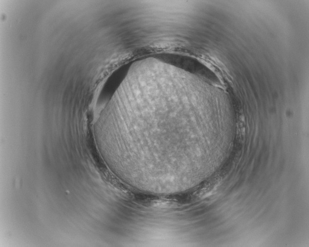 X0000088160504200706051055