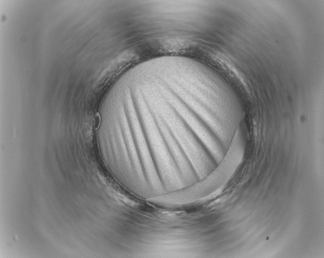 X0000088160505200706051055