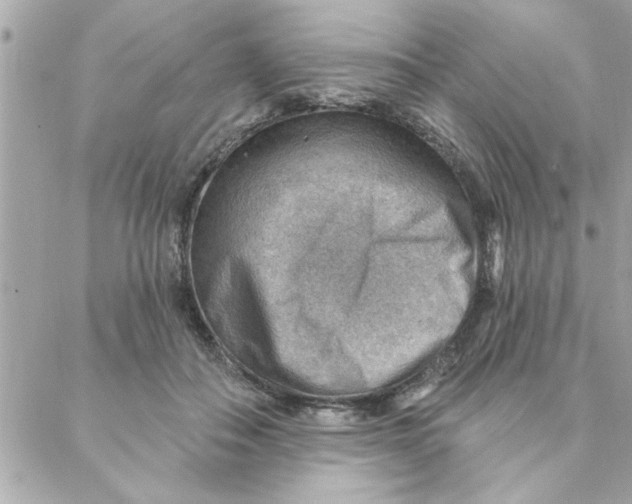 X0000088160506200706051055