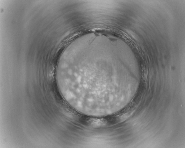 X0000088160507200706051055