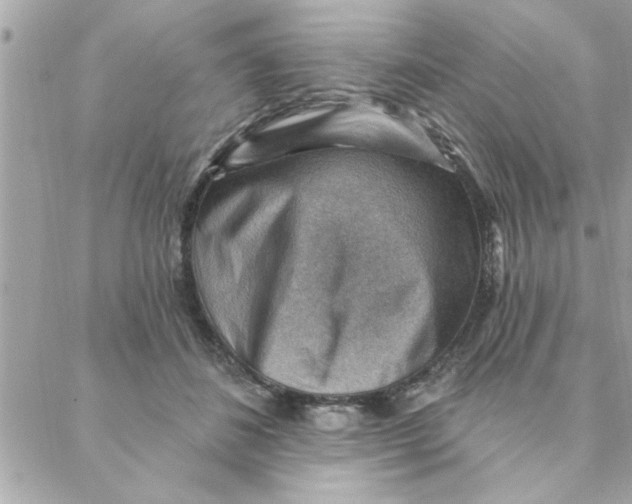 X0000088160508200706051055