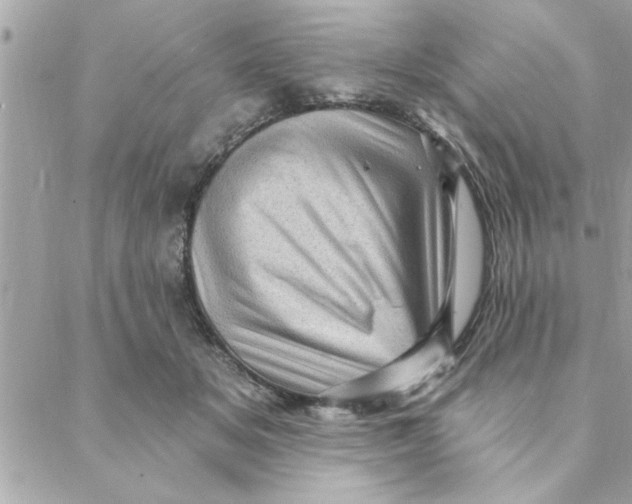 X0000088160509200706051055